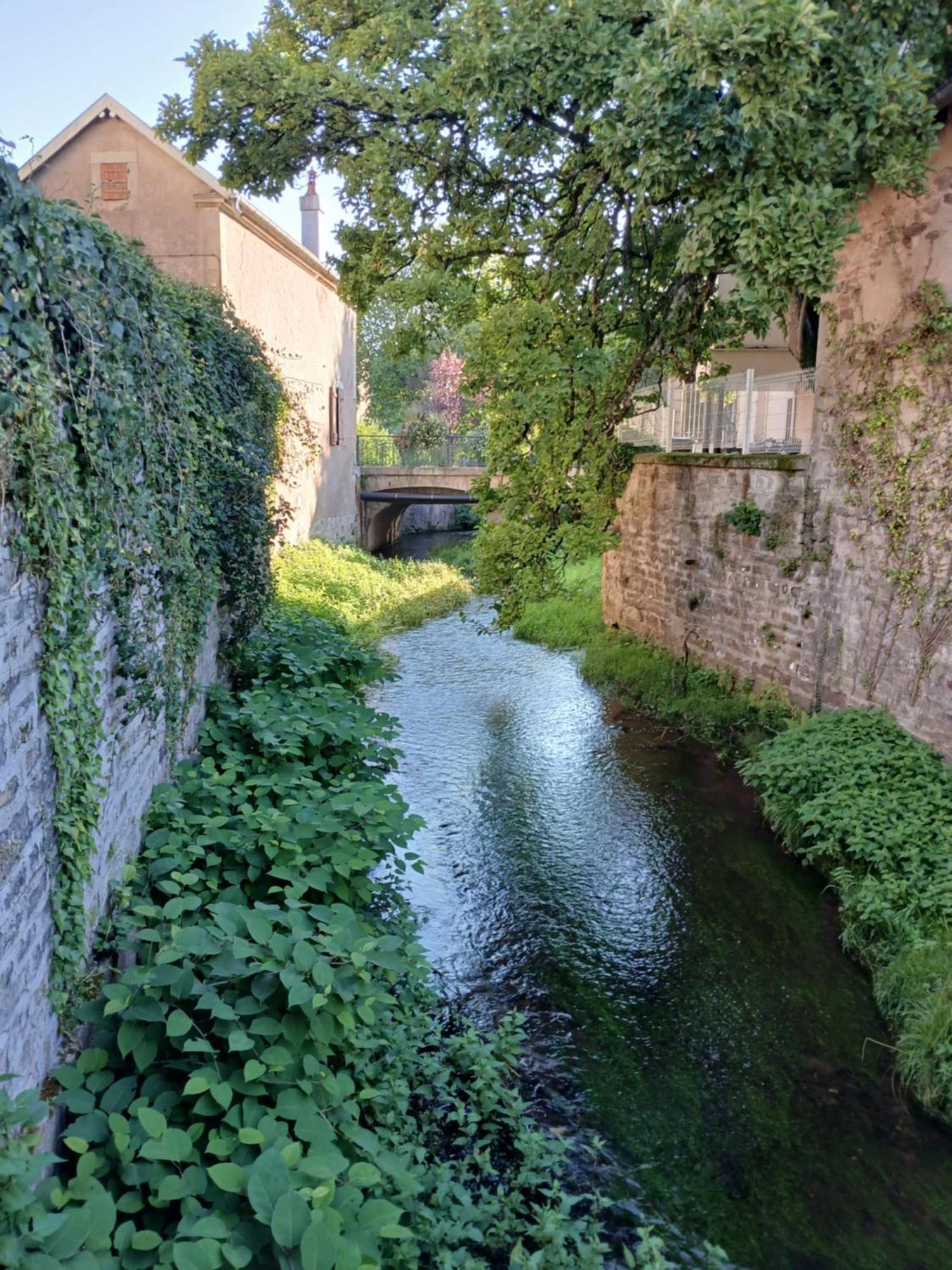 Bed and Breakfast Manoir La Cerise Fougerolles-Saint-Valbert Exterior foto